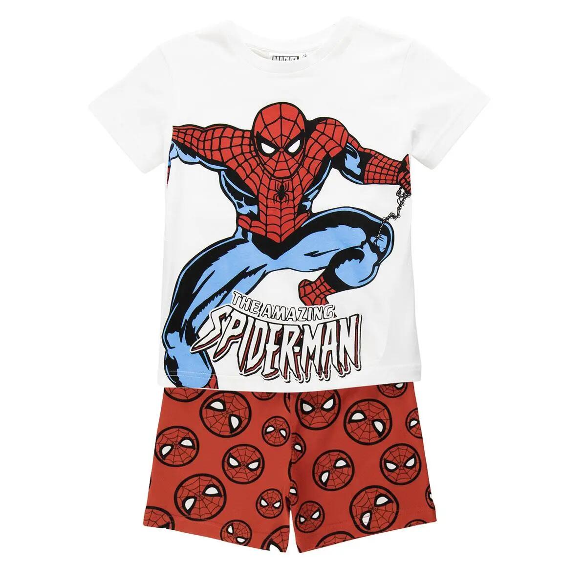SPIDERMAN picture