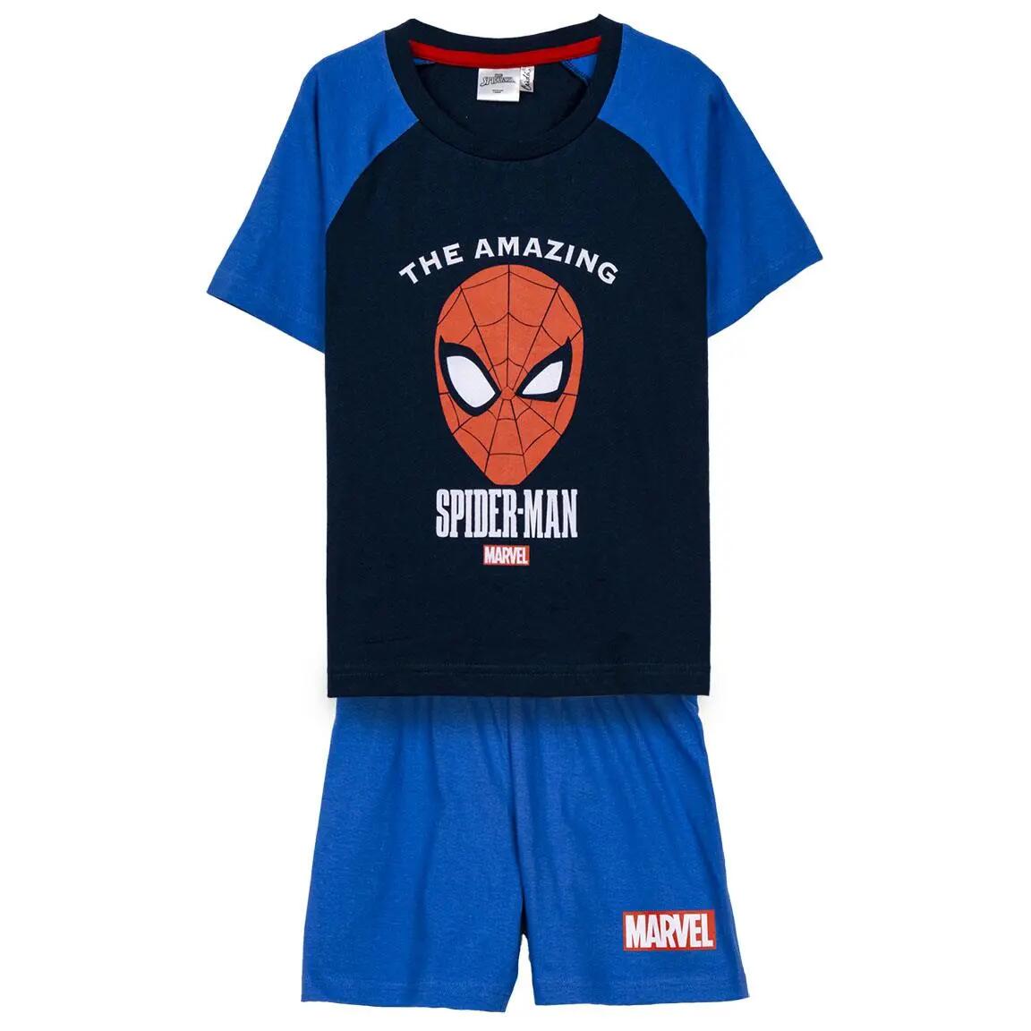 SPIDERMAN picture