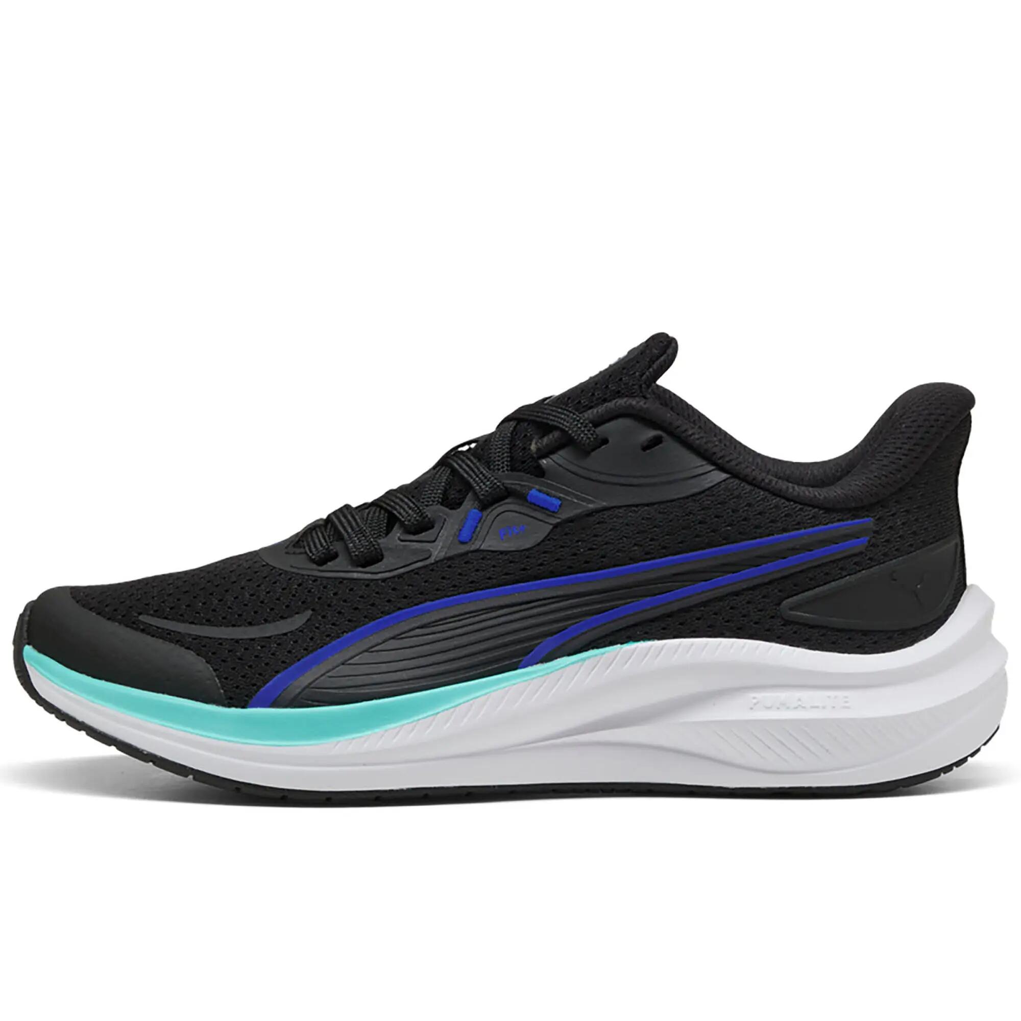 PUMA picture
