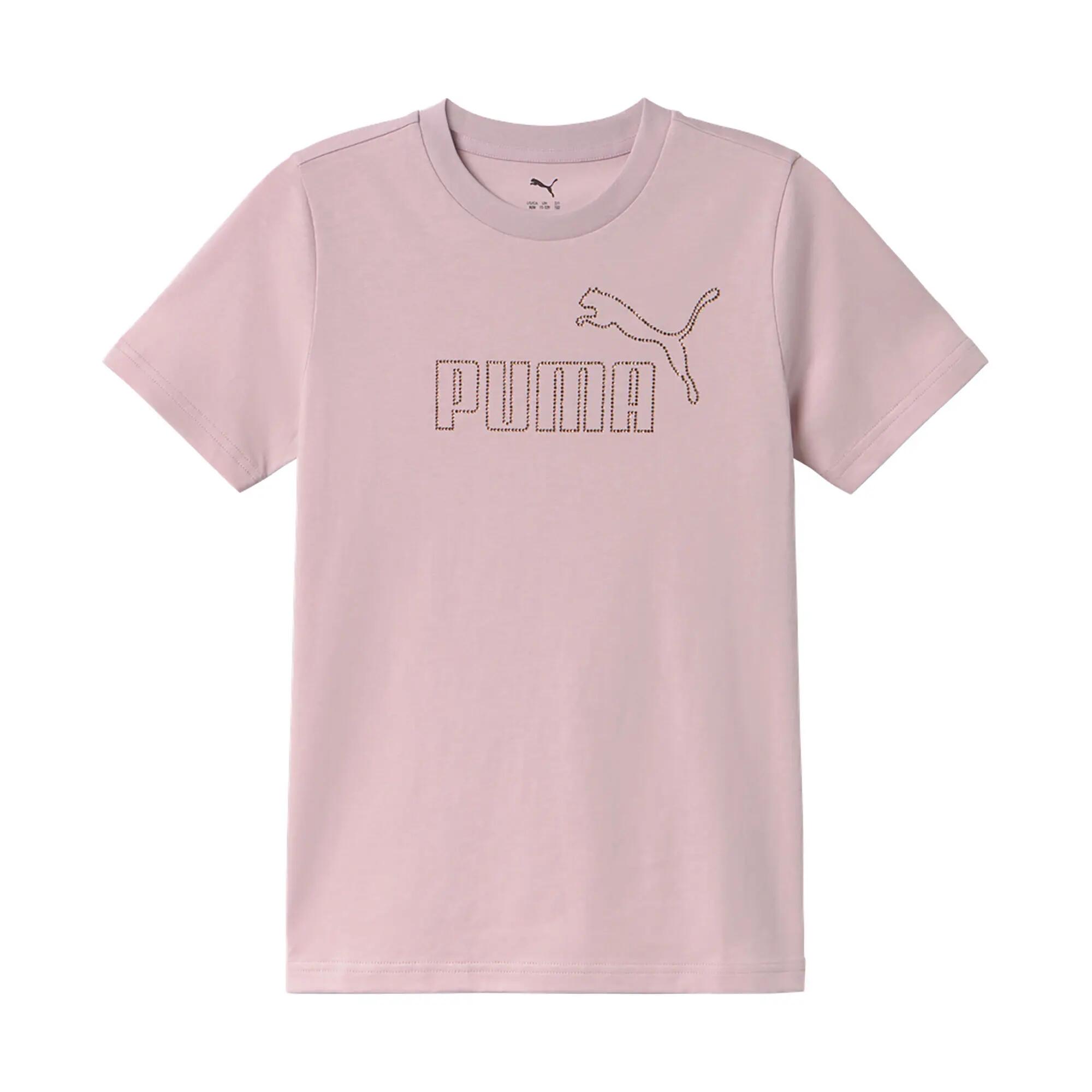 PUMA picture