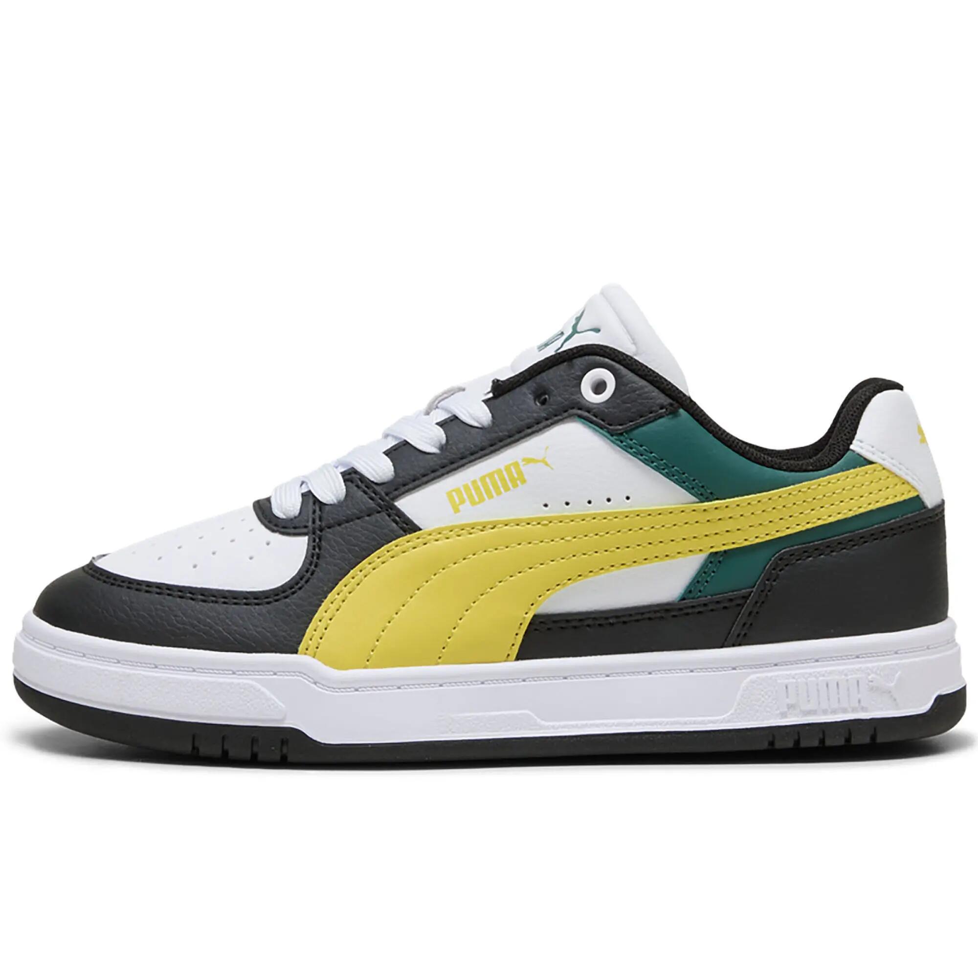PUMA picture
