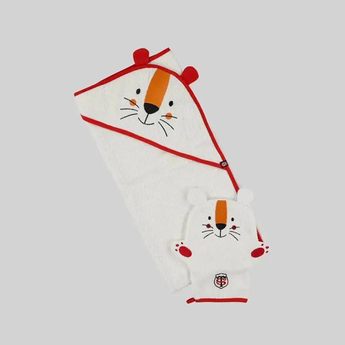 STADE TOULOUSAIN picture