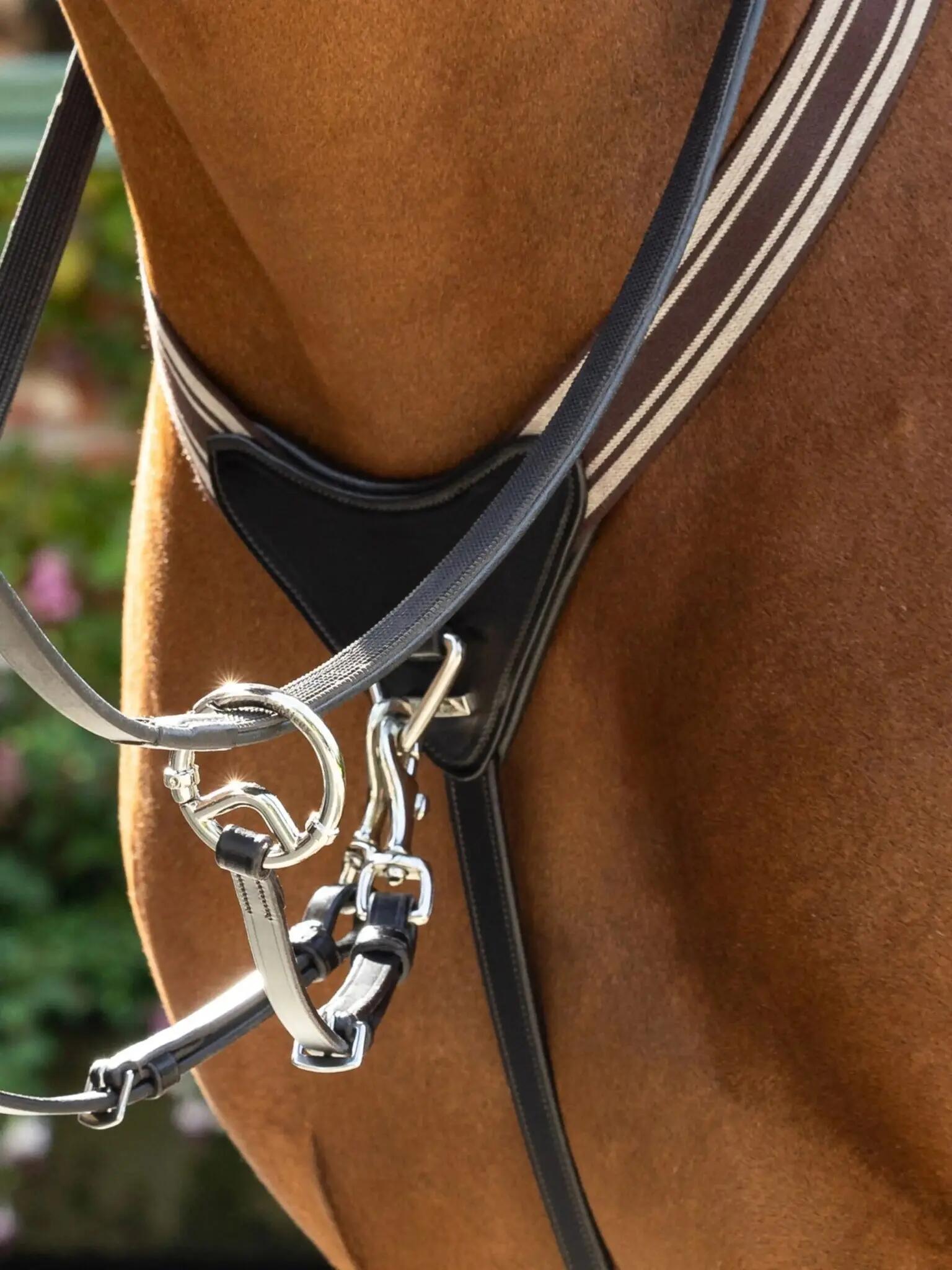 Lemieux Arika Elastic Breastplate Zwart - 4/7