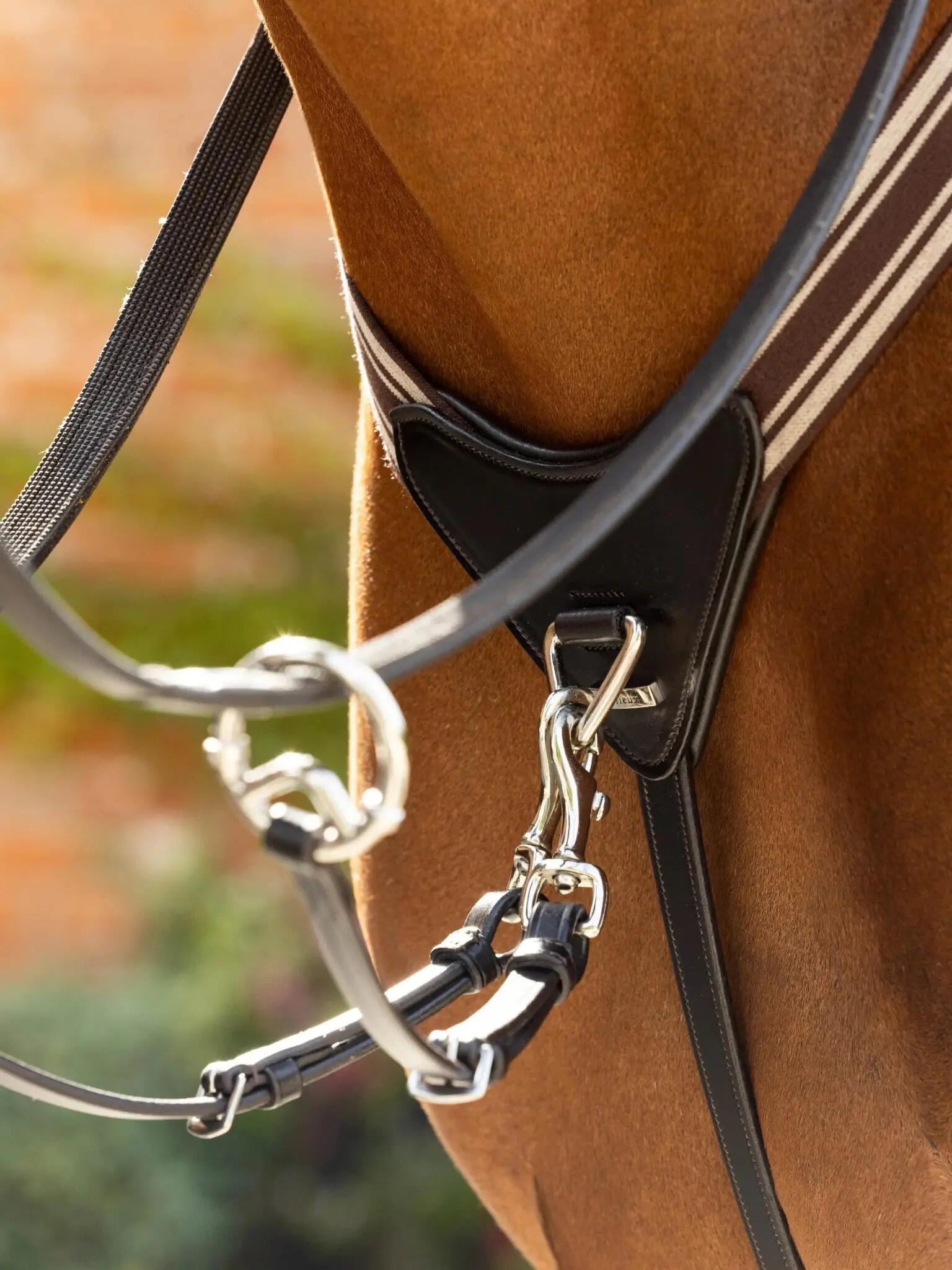 Lemieux Arika Elastic Breastplate Zwart - 3/7