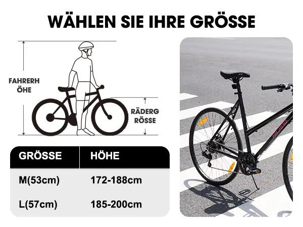 Damen Herren Citybike 28 Zoll 7-Gang Aluminium Scheibenbremse 700C 7/7