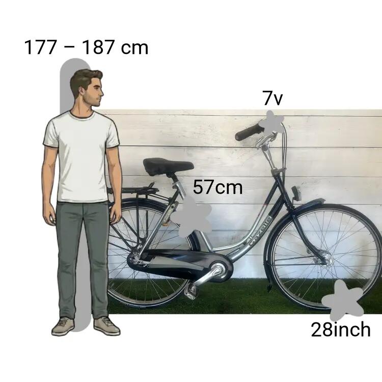 Gebraucht Gazelle Impala Lage Instap 2/4