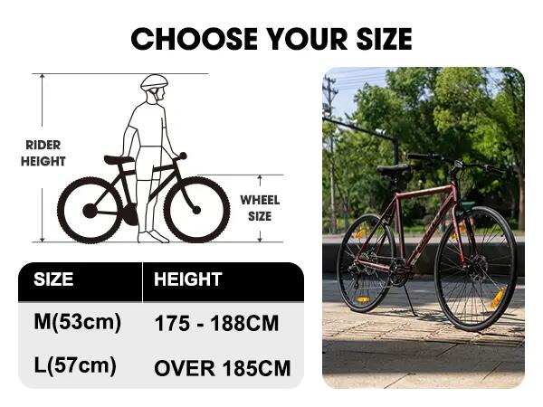 Damen Herren Trekkingrad 28 Zoll 7-Gang Aluminium Scheibenbremse Clifford 7/7