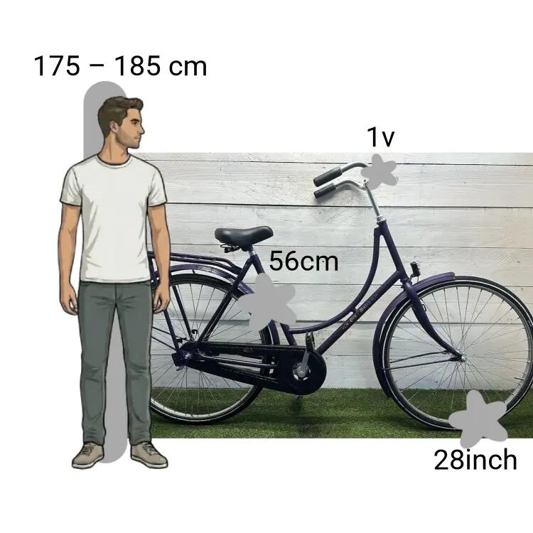 Bicicletta usata Batavus Old Dutch 2/4