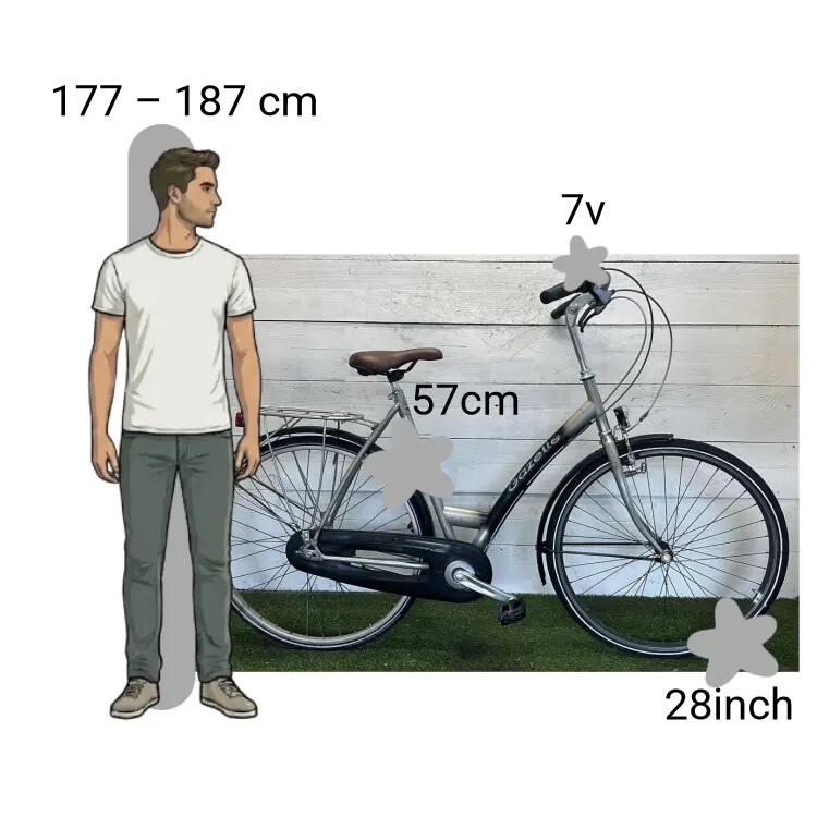 Gebraucht Gazelle Grenoble 2/4