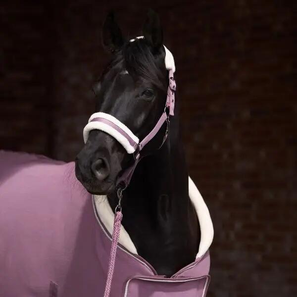 Imperial Riding Halster IRHClassic Fur - Mauve (Full) (Full) 2/3