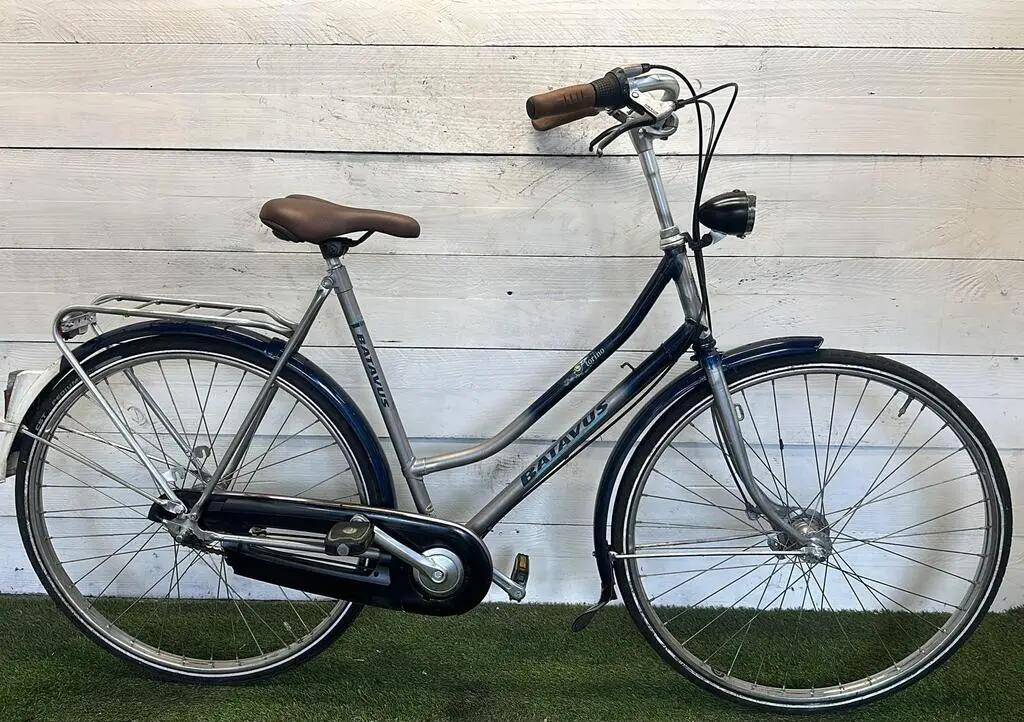 BATAVUS picture
