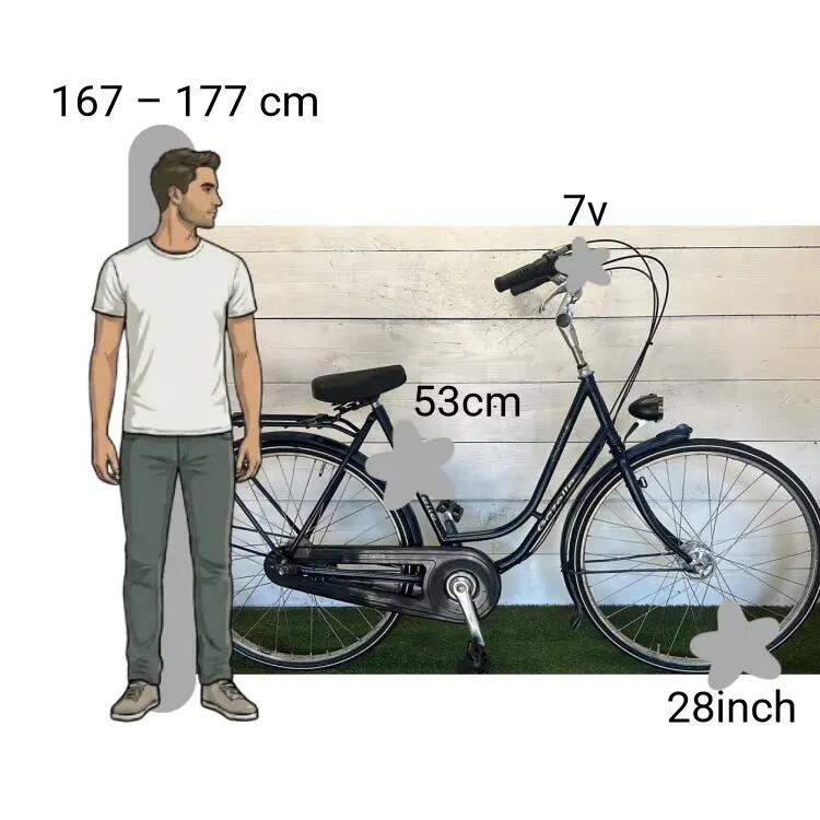 Gebraucht Gazelle Impala 2/4