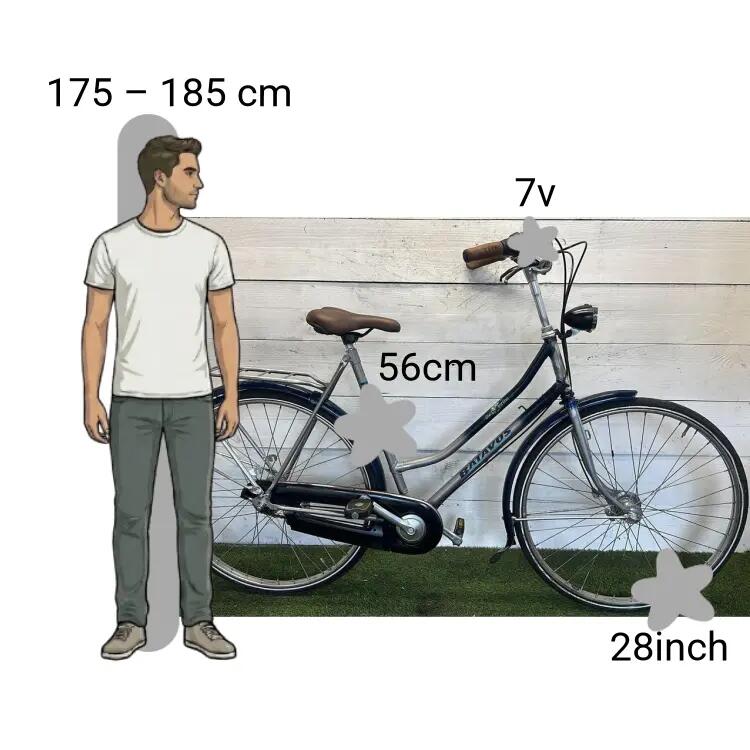 Tweedehands Batavus Torino 2/4