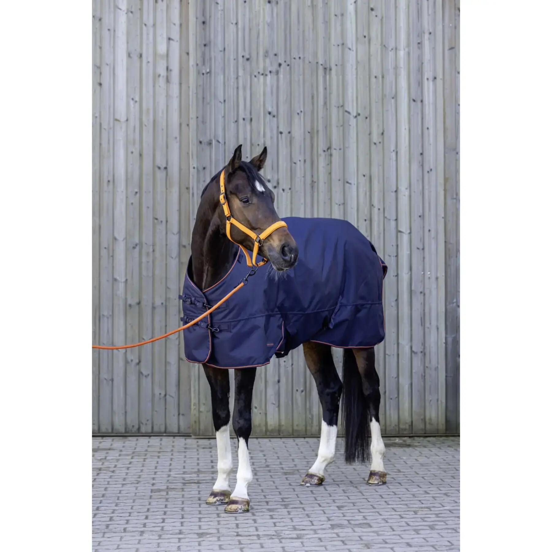 Outdoor paardendeken Covalliero 100g 3/7