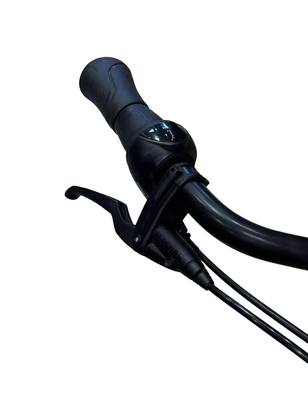 Refurbished - E-Bike Gazelle Arroyo C7+ HMB Elite Shimano Nexus - Zeer goed 5/13