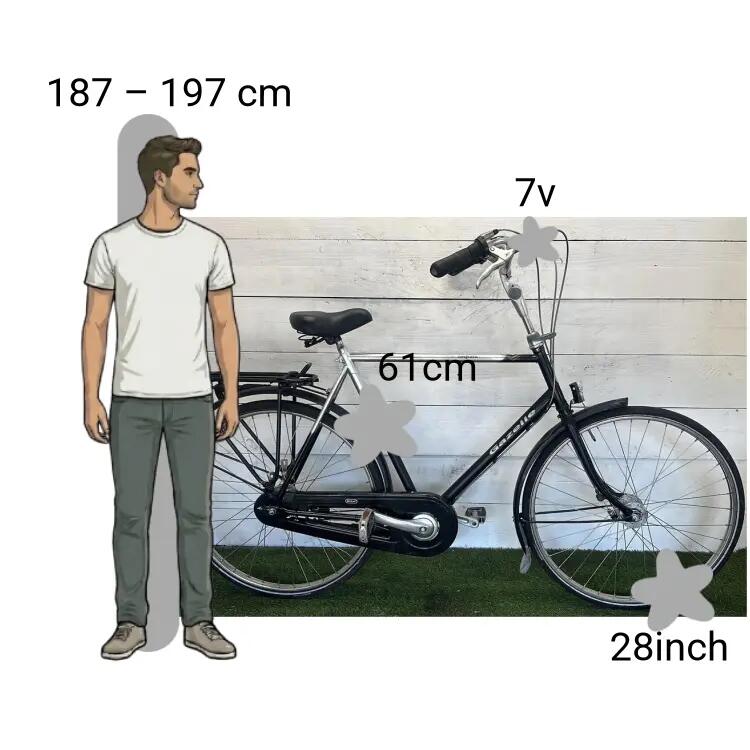 Gebraucht Gazelle Impala 2/4