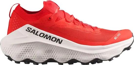 SALOMON picture