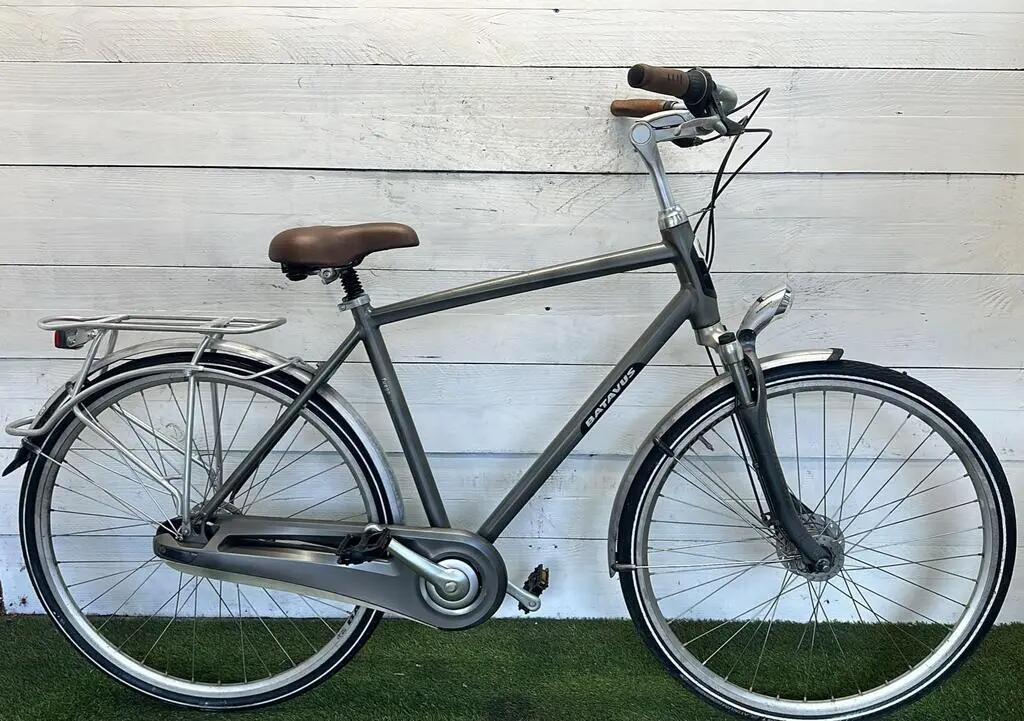 BATAVUS picture