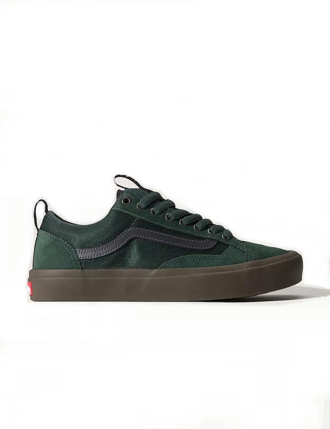 VANS picture