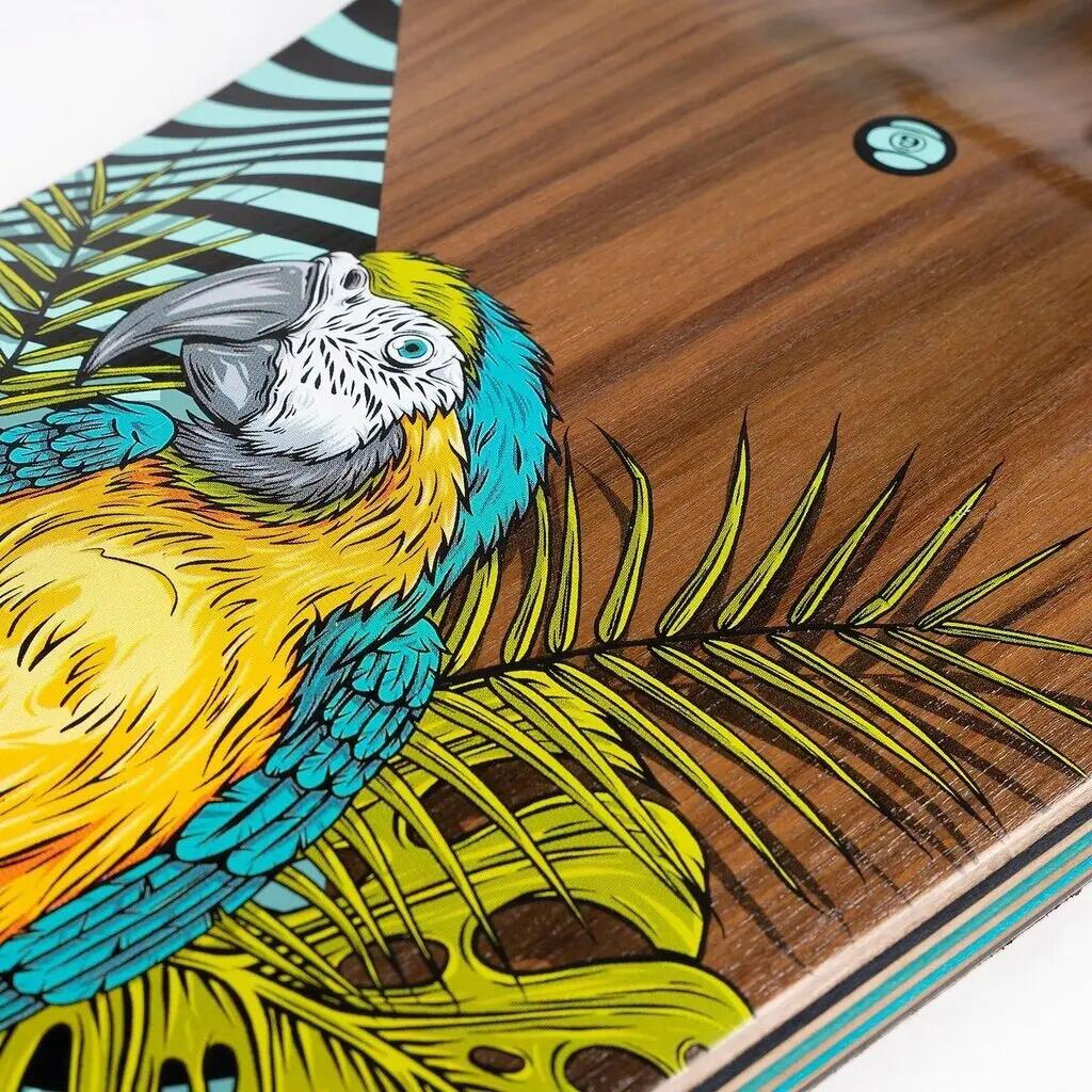 Longboard Sector 9 Fault line perch 39.5 3/4