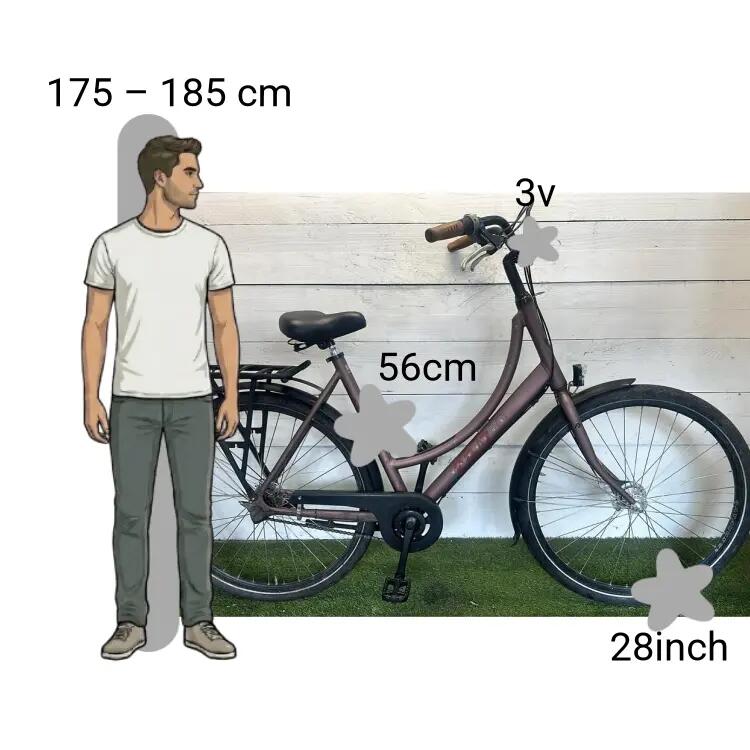 Gebraucht Batavus 24/7 Sterk Frame 2/4