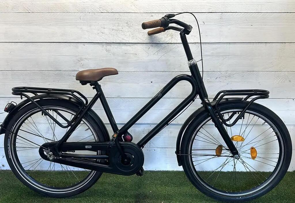 BATAVUS picture
