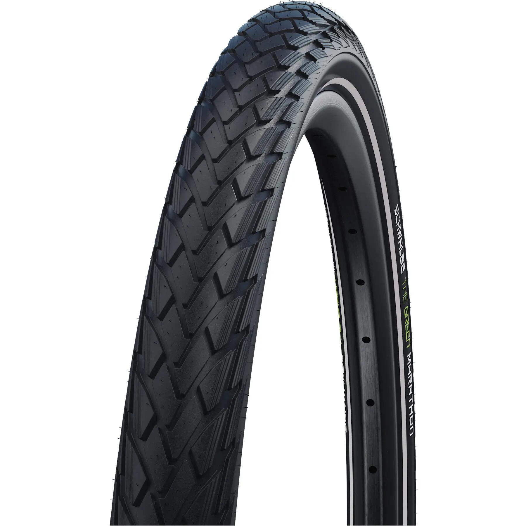 SCHWALBE picture