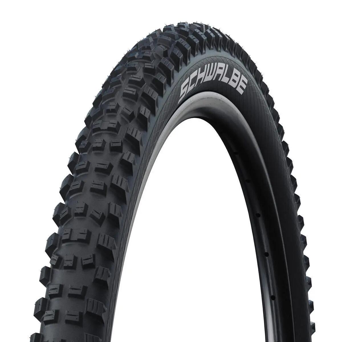 SCHWALBE picture