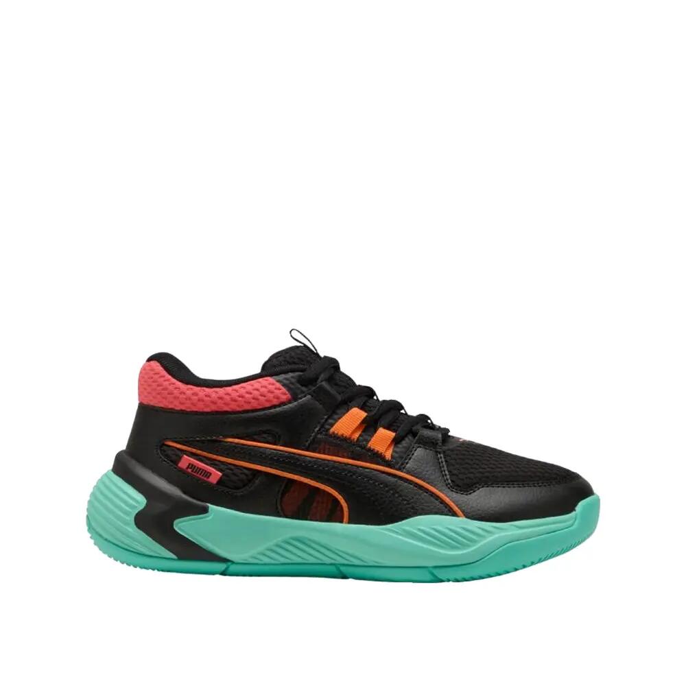 PUMA picture