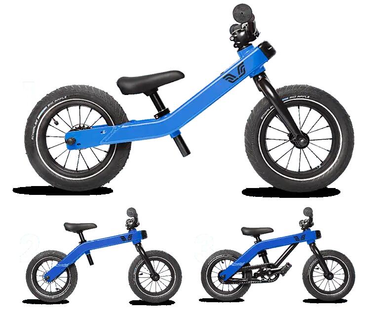 VICI BIKE picture