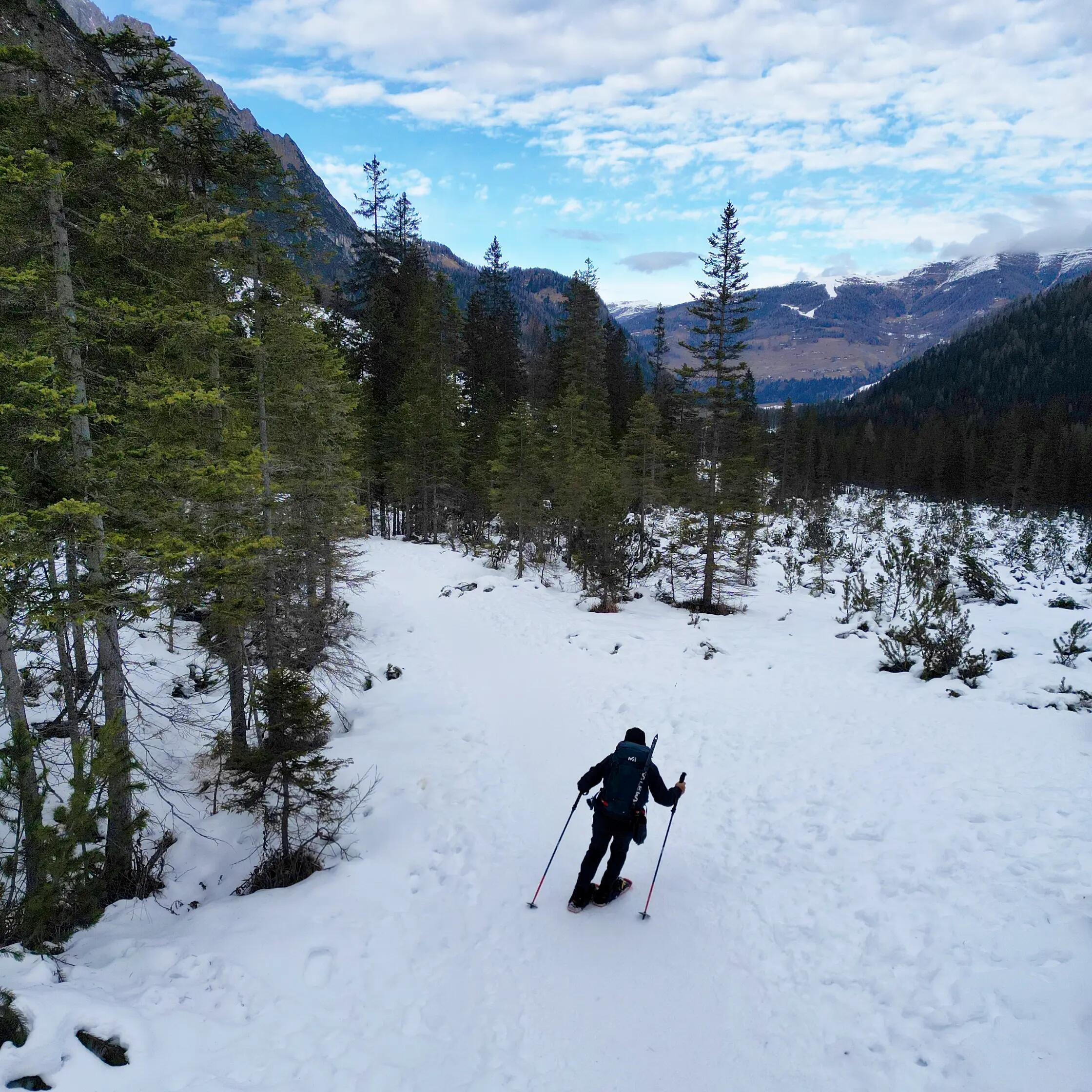 2en1 Combinaison de Raquettes, Mini-Skis et Ice Spikes 8/16
