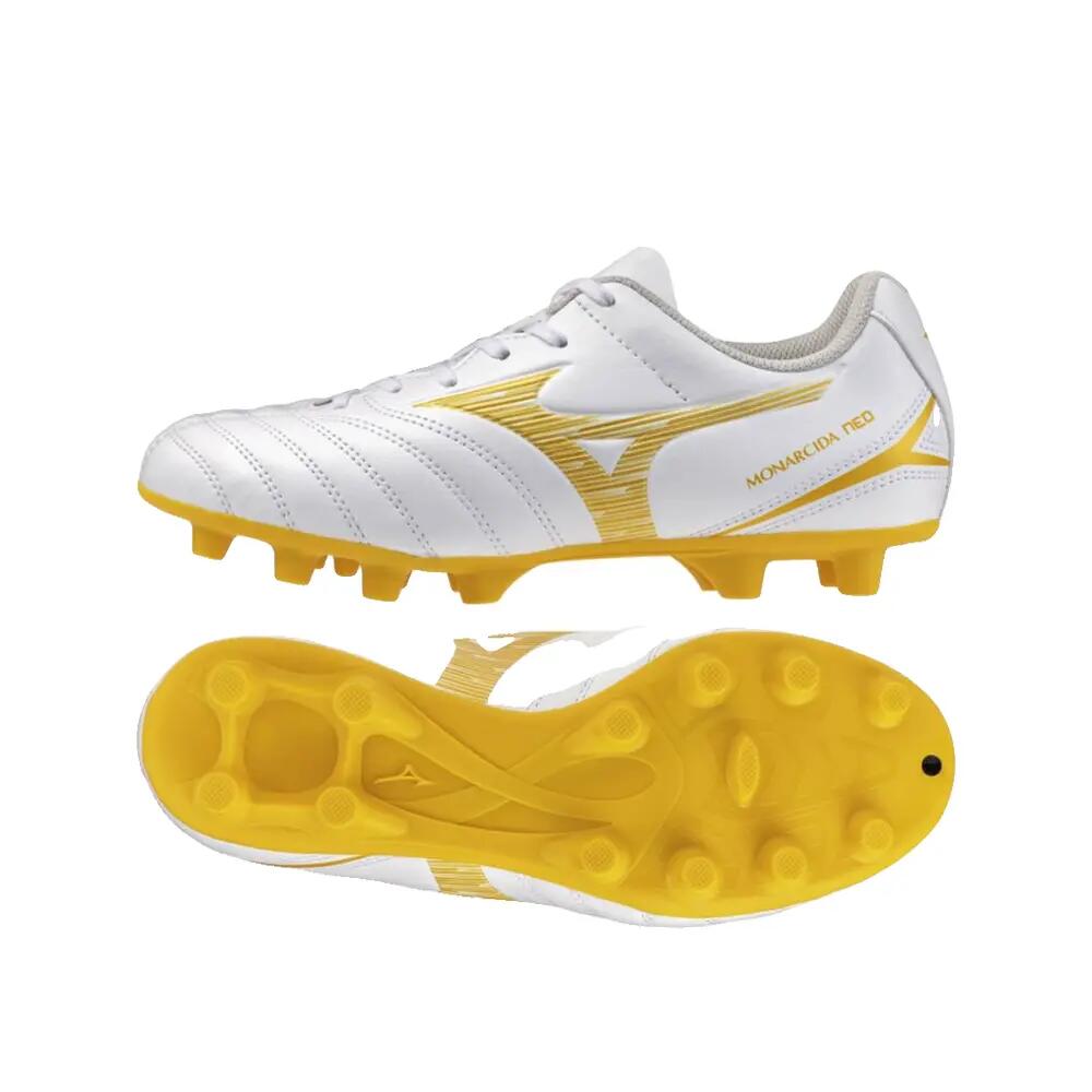 MIZUNO picture