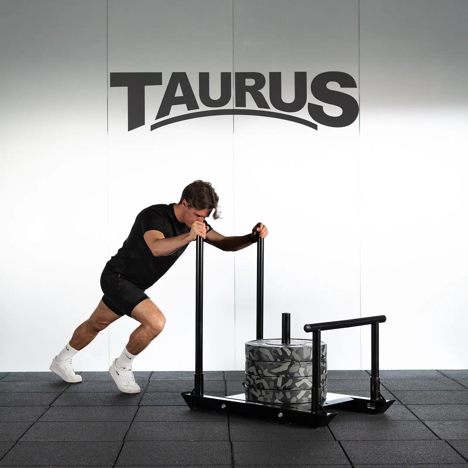 Power Sled Taurus 4/4
