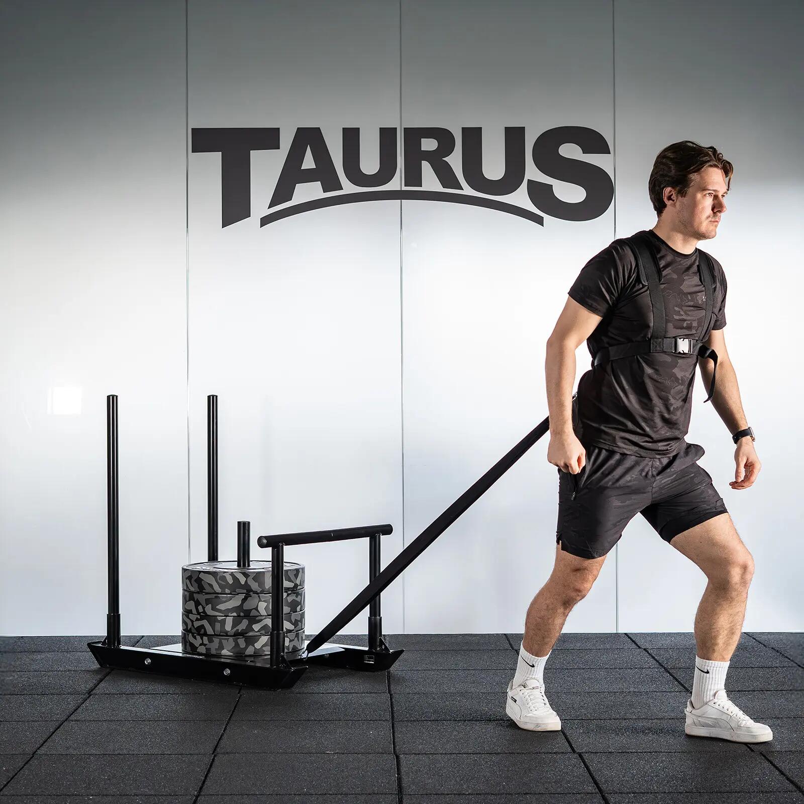 Power Sled Taurus 3/4