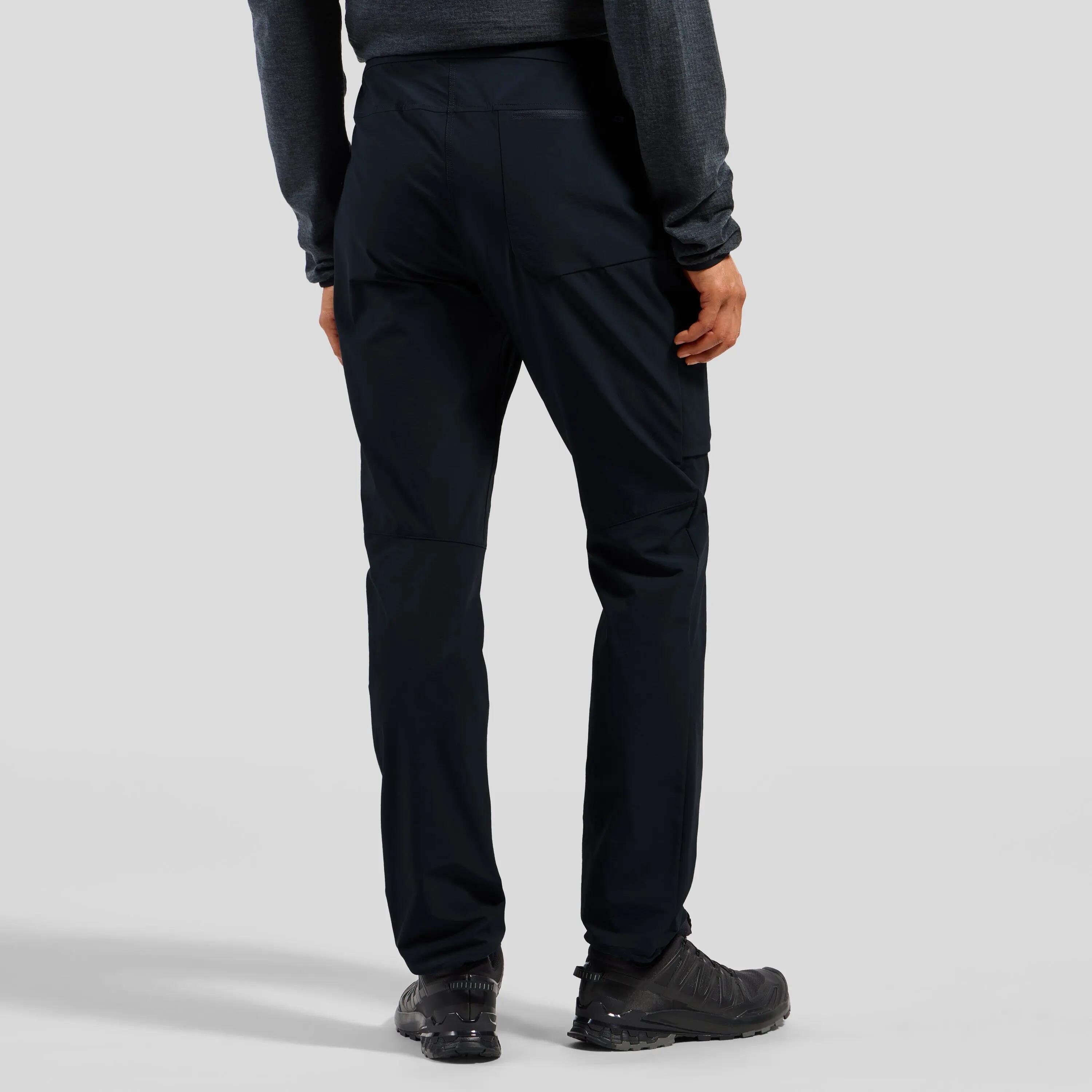 Pantalon de randonnée Odlo Ascent Homme 2/10
