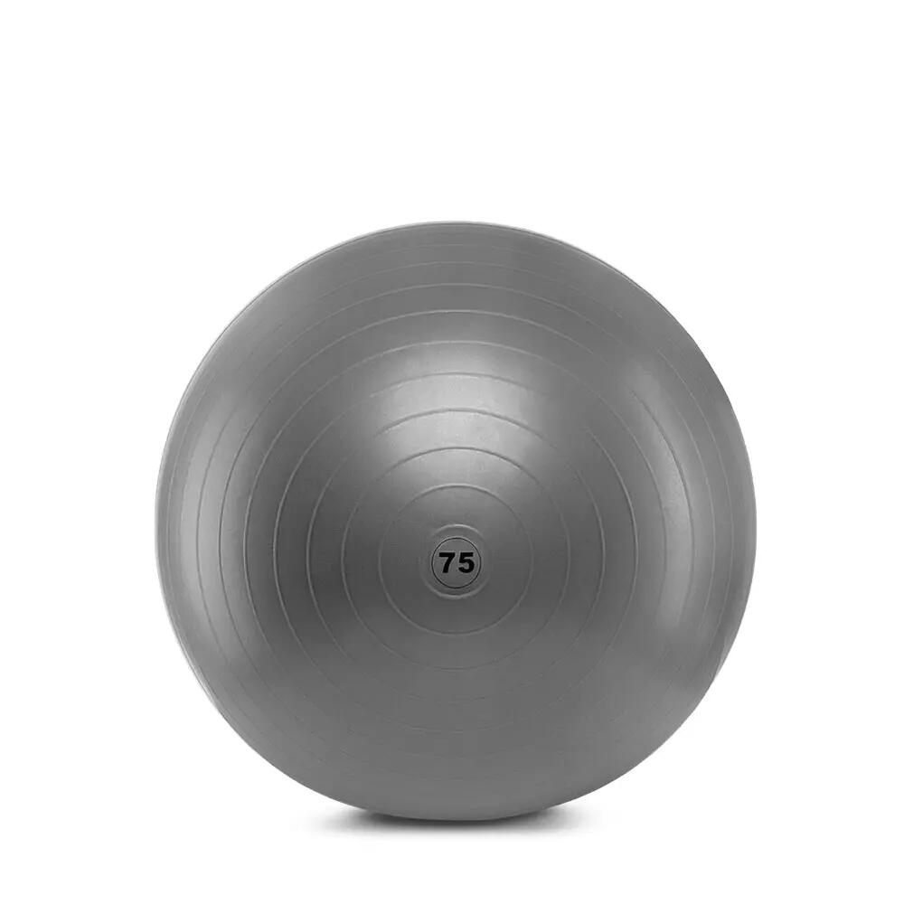 Pelota de Pilates, Gris, 55 cm 4/4