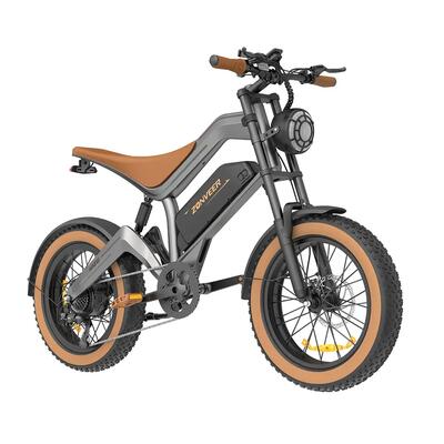 M20 elektrische crossmotor met 20-inch wielen en 48v 18,2ah accu.