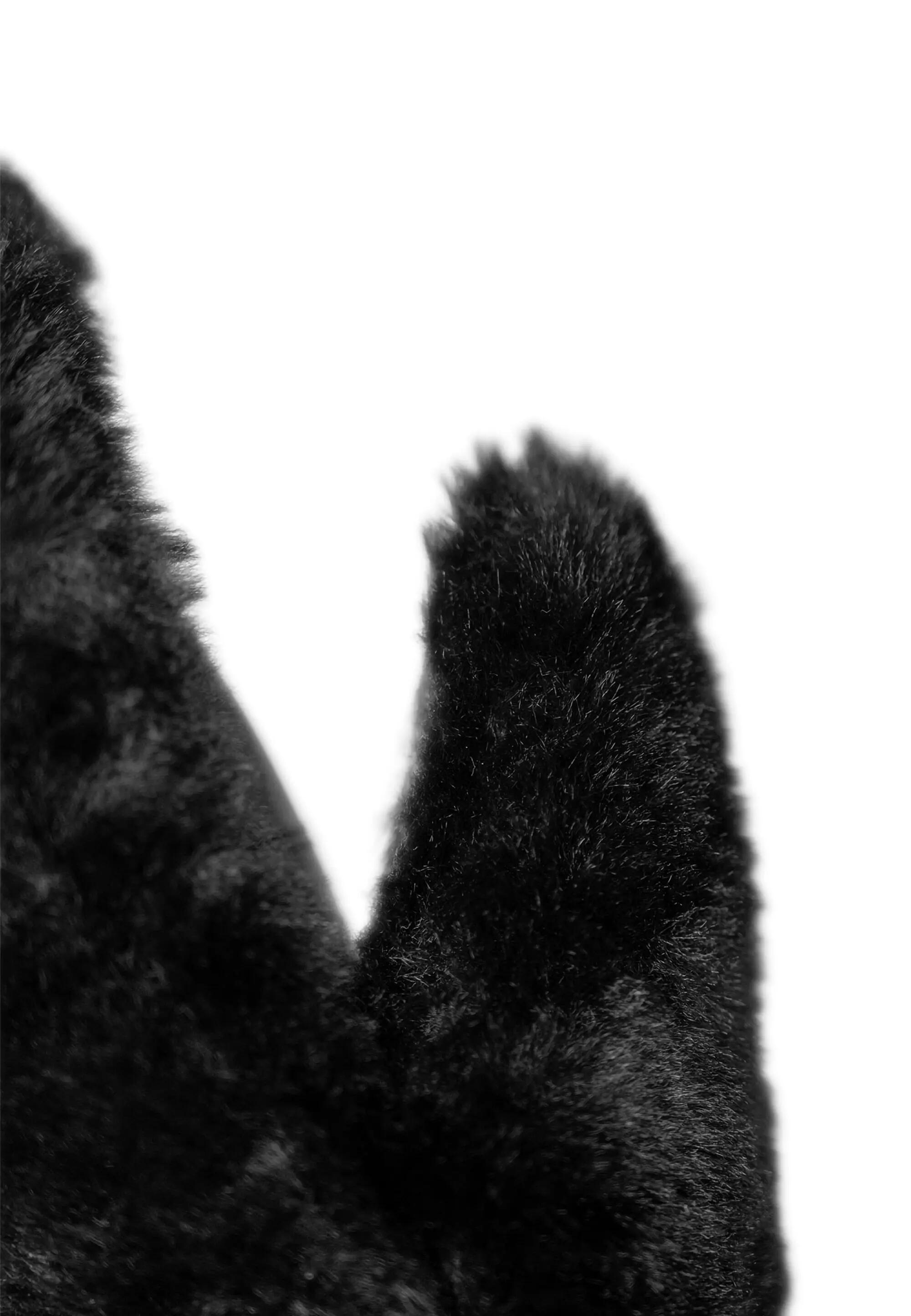Wanten Molly R-TEX® XT Junior Mitten 4/7