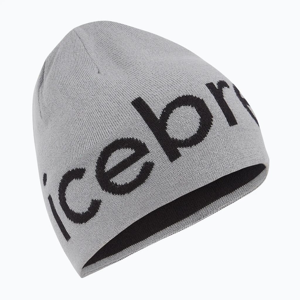 Icebreaker Merino Icebreaker Beanie winter hat