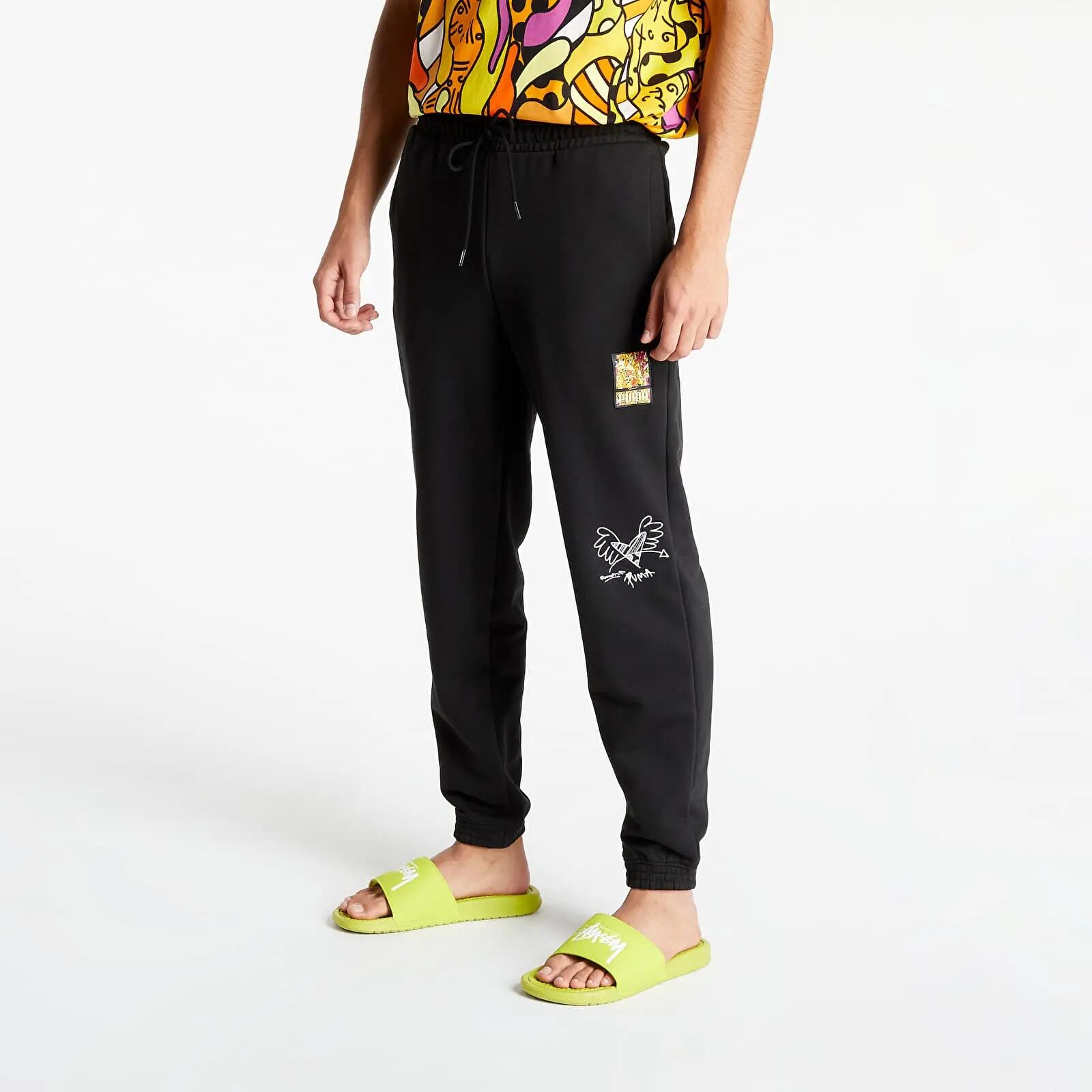 PUMA picture