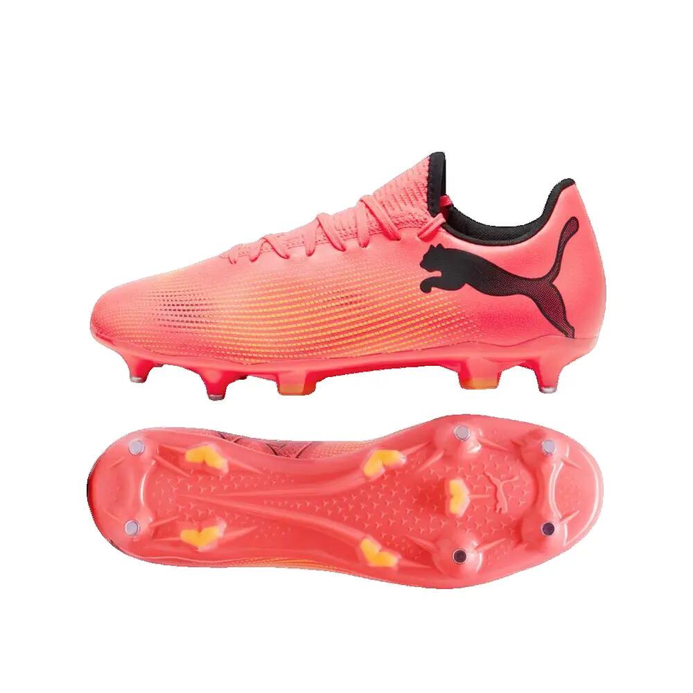 PUMA picture