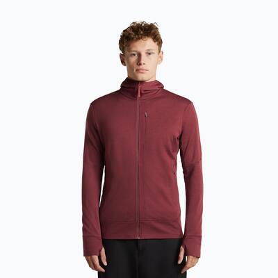 Herenhoodie icebreaker merino 260 quantum iv ls zip hoodie