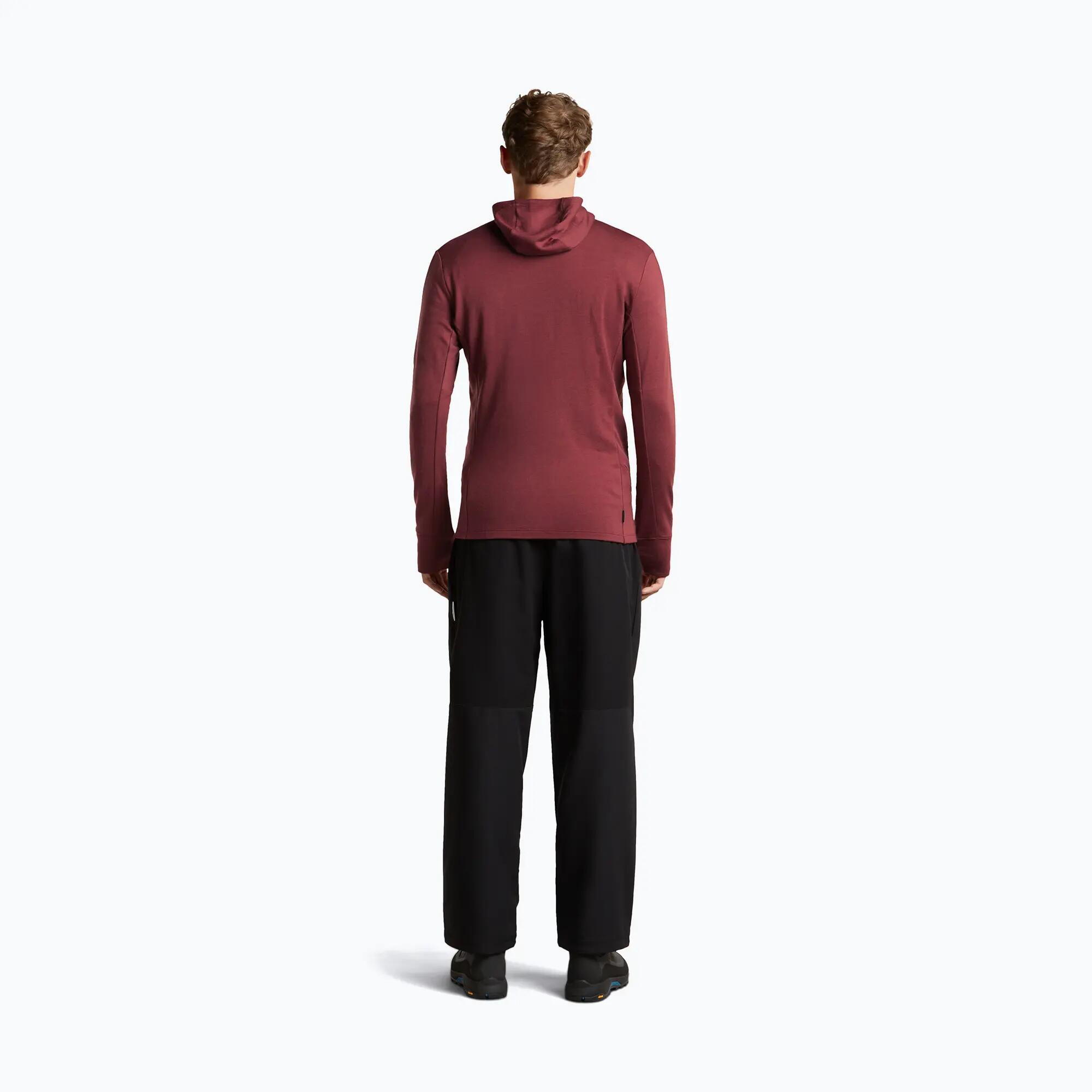Sweat à capuche pour homme Icebreaker Merino 260 Quantum IV LS Zip Hoodie 5/7
