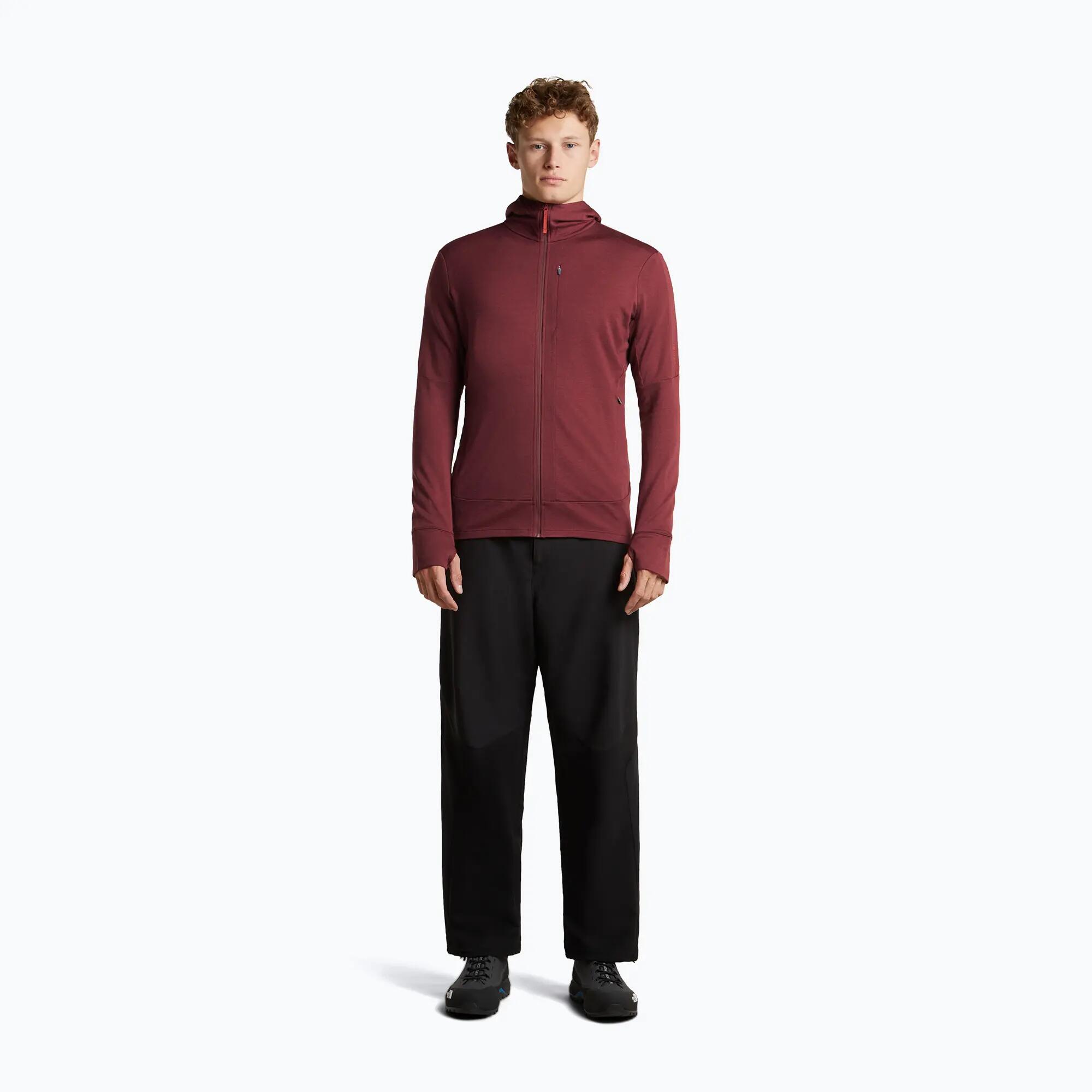 Sweat à capuche pour homme Icebreaker Merino 260 Quantum IV LS Zip Hoodie 4/7