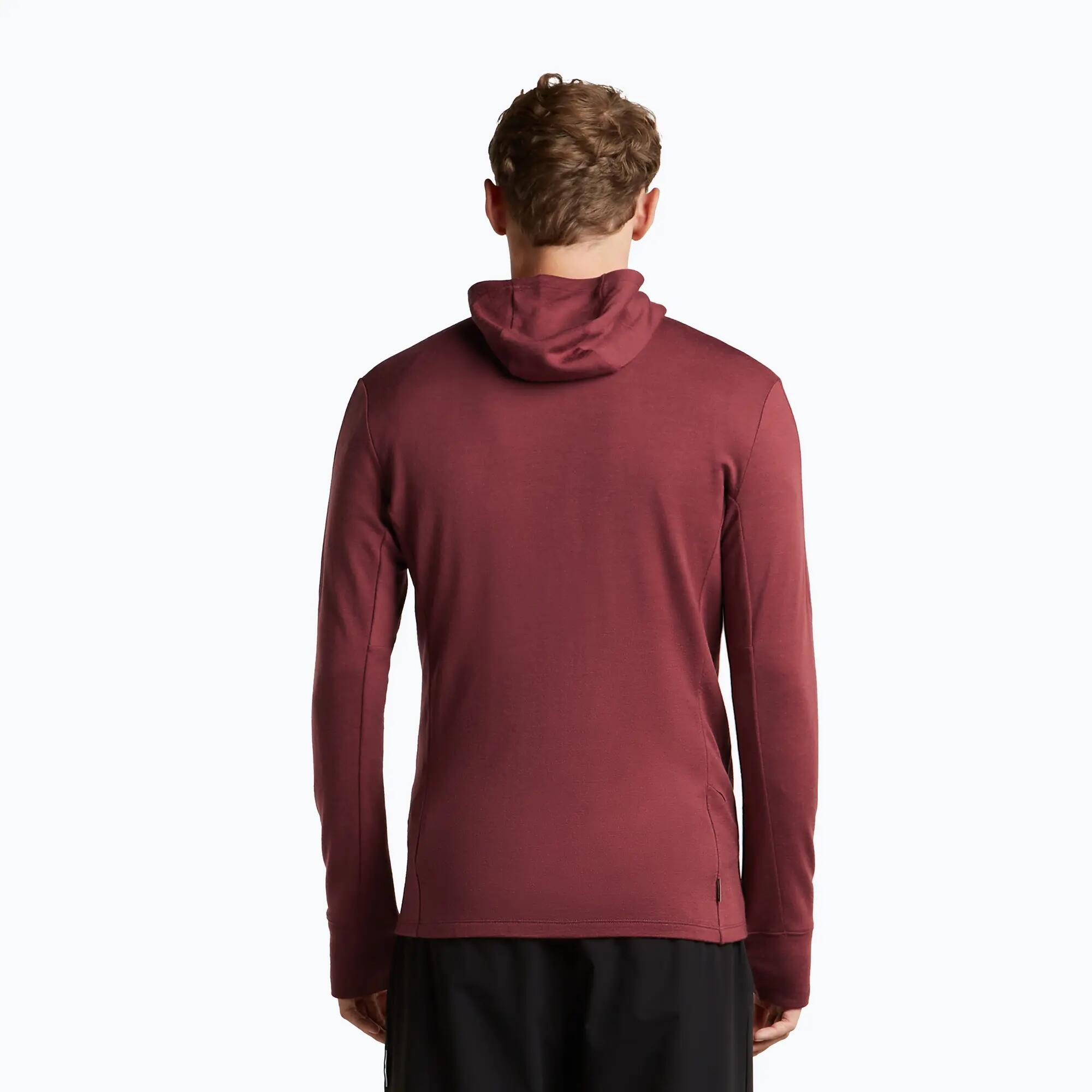 Sweat à capuche pour homme Icebreaker Merino 260 Quantum IV LS Zip Hoodie 3/7