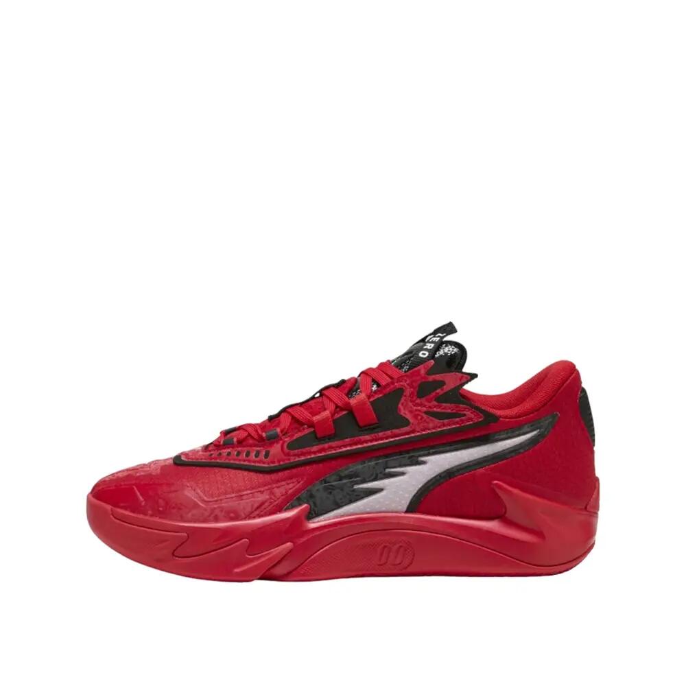 PUMA picture