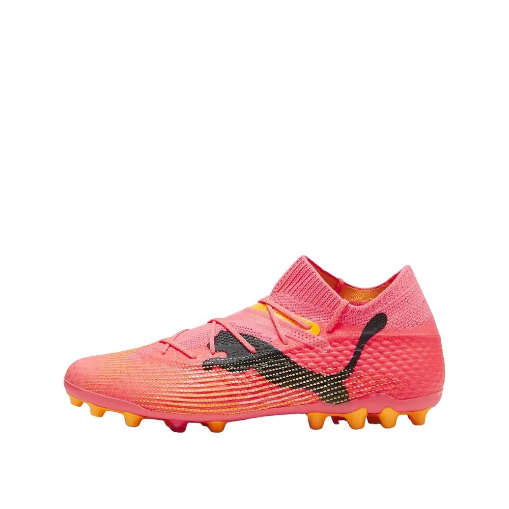 PUMA picture