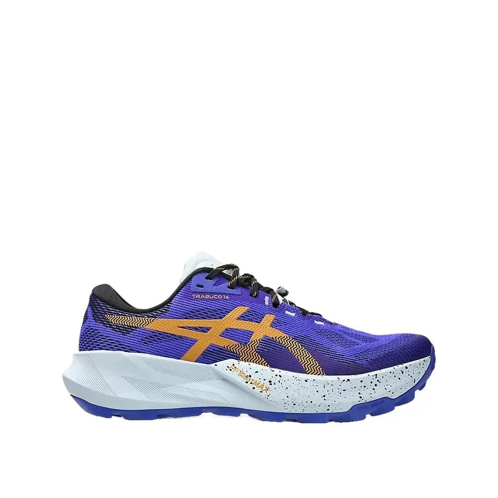 ASICS picture