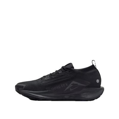 Scarpe da trail Nike Pegasus Trail 5 Nero