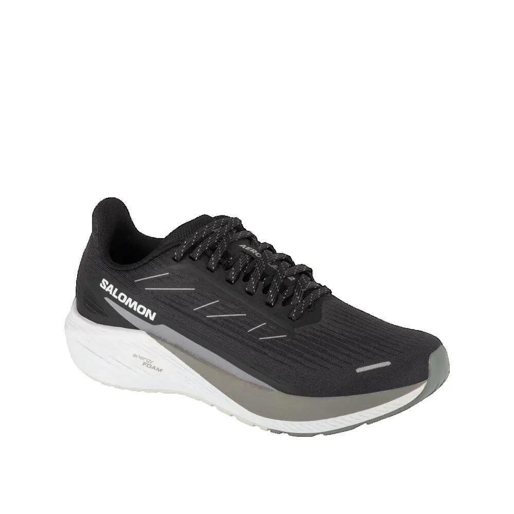 SALOMON picture
